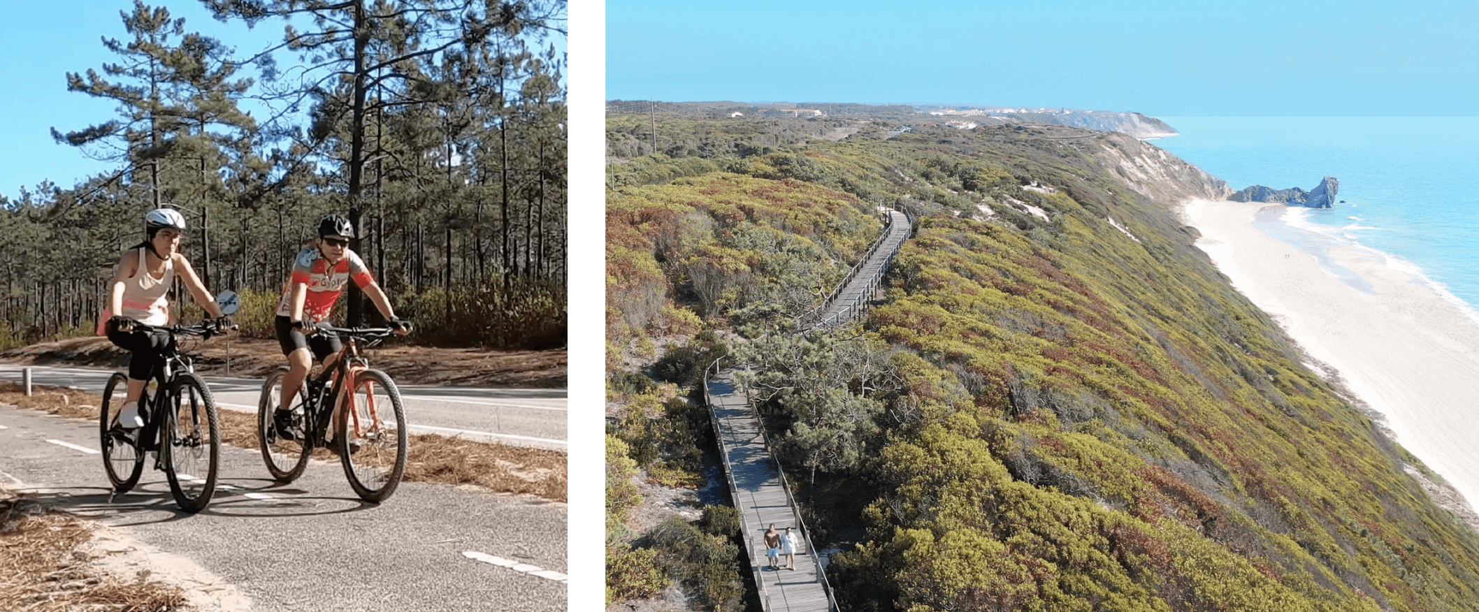 Pinhal de Leiria