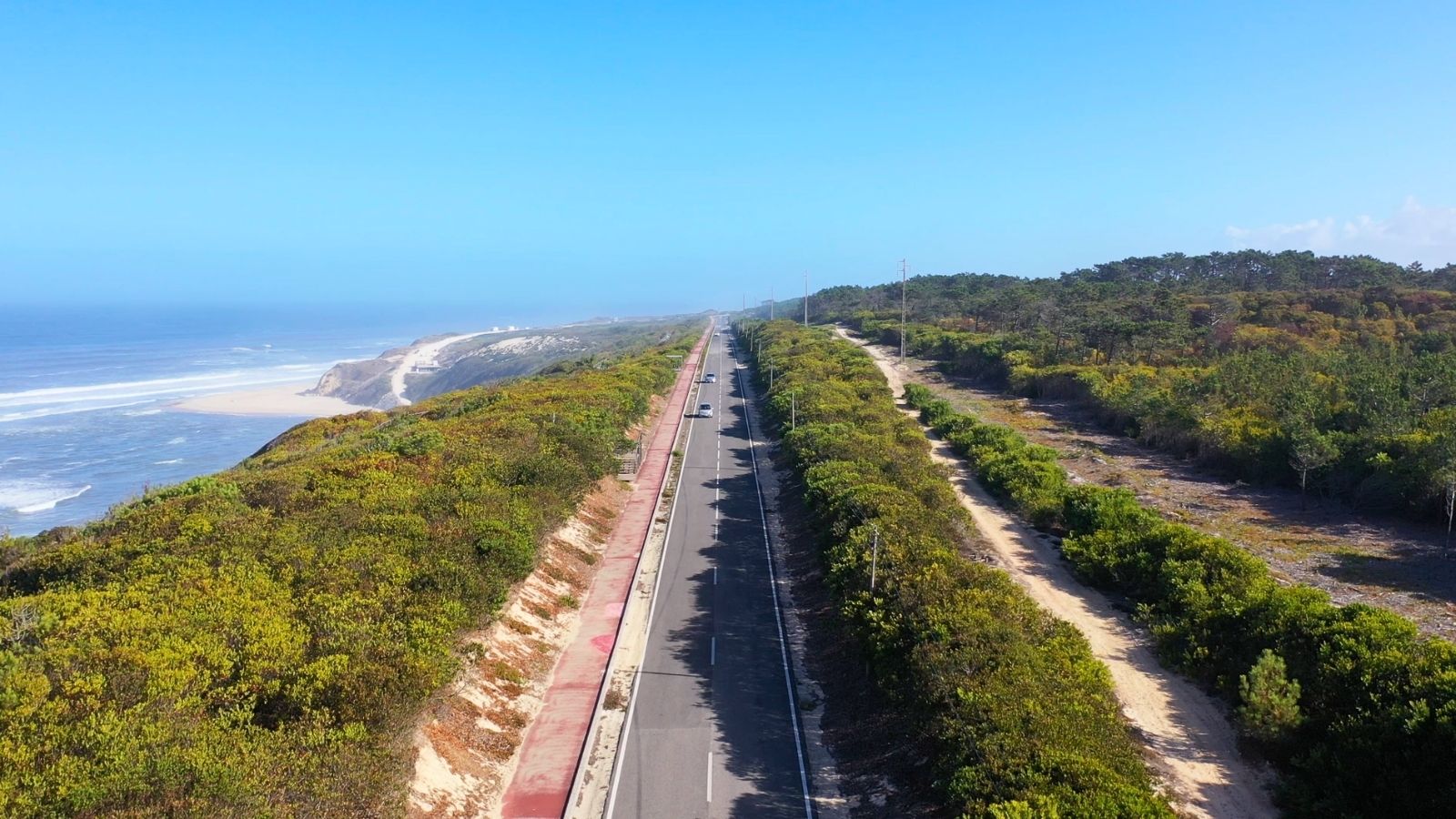 coastline and pine forest north of Nazaré