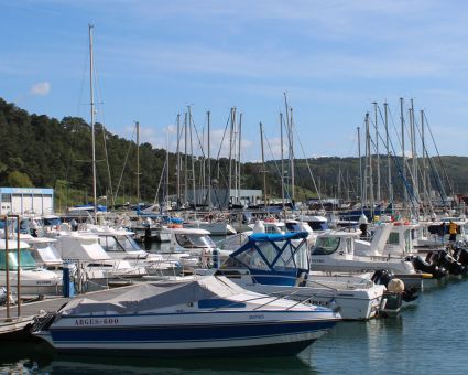 Côte d'Argent : Un lieu de rêve pour les amoureux de la mer