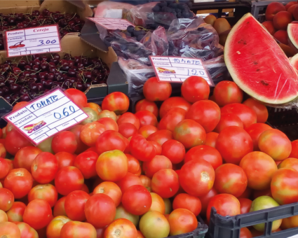 La Côte d’Argent - 5 Premiers Marchés